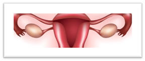 http://www.sogamds.com/wp-content/uploads/et_temp/gynecology-45033_960x332.jpg
