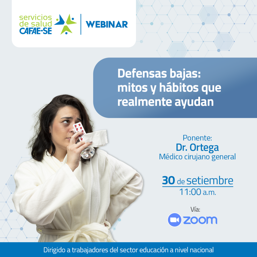 Novedades