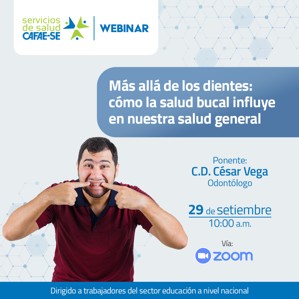 Novedades
