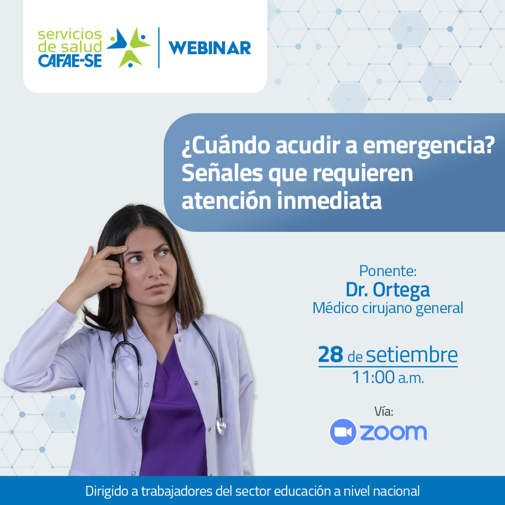 Novedades